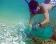 Skol fará ação para limpar mar de Salvador